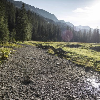Ein Wanderweg im Schwarzwald, umgeben von Wald und Bergen, bei Sonnenlicht und klarem Himmel. | © Kleinwalsertal Tourismus eGen • Fotograf: Andre Tappe