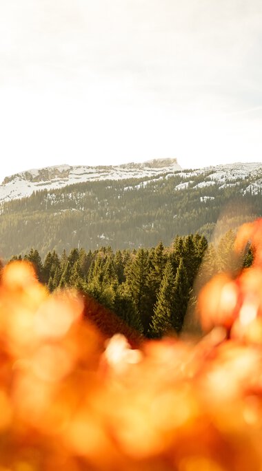 © Kleinwalsertal Tourismus eGen • Fotograf: Dominik Berchthold