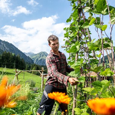 Man in a permaculture garden, surrounded by blooming plants and green mountains in the background, on a sunny day. | © Kleinwalsertal Tourismus eGen • Photographer: Dominik Berchtold