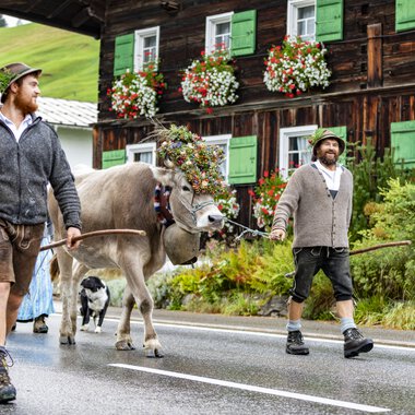 Two men leading a cattle parade with an ox on a village street, in front of a traditional house decorated with flowers in the Alps.