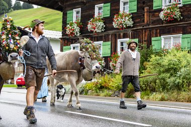 Zwei Männer bei einem Almabtrieb mit einem Ochsen, auf einer Straße vor einem traditionellen Haus mit Blumen, in den Alpen.