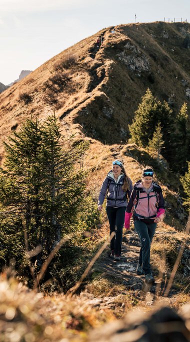Two women hiking on a narrow mountain trail with a stunning mountain landscape in the background, surrounded by pine trees.