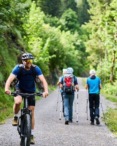 Vier Wanderer mit Rucksack und Wanderstöcken auf einem Waldweg im Sommer, einer fährt Fahrrad. | © v