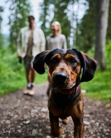 © Kleinwalsertal Tourismus eGen • Fotograf: Oliver Farys