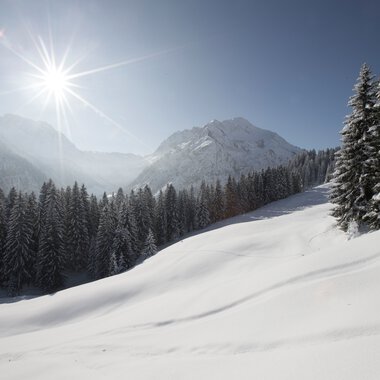 Winter landscape with snow-covered trees and mountains under bright sunlight at Walmendingerhorn. | © Kleinwalsertal Tourismus eGen • Photographer: Oliver Farys