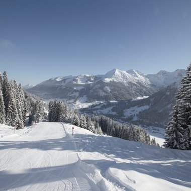 Winterlandschaft mit verschneiten Bergen, Tannenbäumen und Skiwellen bei Walmendingerhorn im Allgäu. | © Kleinwalsertal Tourismus eGen • Fotograf: Oliver Farys