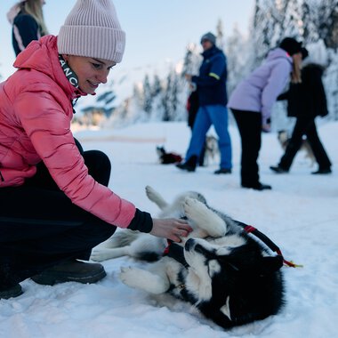 Young woman playing with a husky sled dog in snowy winter landscape, with people in winter activity gear in the background. | © Kleinwalsertal Tourismus eGen • Photographer: Oliver Farys