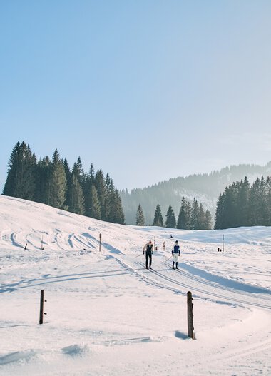 Snow-covered winter landscape with skiers, clear blue sky, background of pine trees and gentle hills in Kleinwalsertal. | © Kleinwalsertal Tourismus eGen • Photographer: Oliver Farys