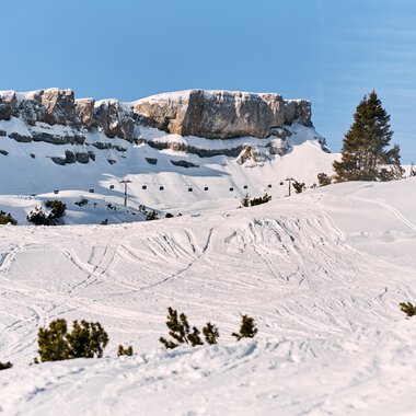 Winterlandschaft mit präparierten Skipisten und verschneiten Bäumen im Kleinwalsertal, mit Felsen im Hintergrund und klarem blauen Himmel | © Kleinwalsertal Tourismus eGen • Fotograf: Oliver Farys