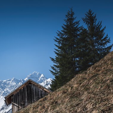 View of a steep hillside with an old wooden house, pine trees, and snow-capped mountains in the background. | © Kleinwalsertal Tourismus eGen • Photographer: Robert Niederwolfsgruber