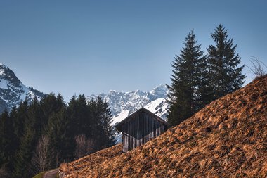 Landschaft mit einem kleinen Holzhaus, umgeben von Tannenbäumen und schneebedeckten Bergen im Hintergrund, bei sonnigem Wetter. | © Kleinwalsertal Tourismus eGen • Fotograf: Robert Niederwolfsgruber