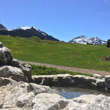 Ein Wassertretbecken inmitten einer malerischen Alpenlandschaft mit grünen Wiesen, Bergen mit Schneefeldern und einem klaren blauen Himmel. | © Kleinwalsertal Tourismus eGen