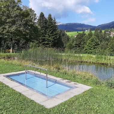 Wassertretbecken im Kurpark mit Wasser und Natur, umgeben von grünen Wiesen, Bäumen und Bergen im Hintergrund. | © Kleinwalsertal Tourismus eGen