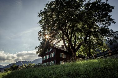 Das Walserhaus, umgeben von einem großen Baum, im Sonnenlicht mit Wolken am Himmel, in einer bergigen Landschaft. | © Kleinwalsertal Tourismus eGen • Fotograf: Oliver Farys