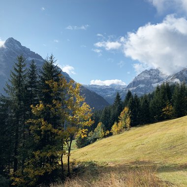 Mountain landscape with forests, meadows, and mountains under a blue sky with clouds in the background. | © Kleinwalsertal Tourismus eGen