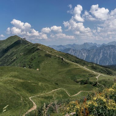 Panoramic view of Kanzelwand with green mountains, a hiking trail, and surrounding peaks on a clear day. | © Kleinwalsertal Tourismus eGen • Photographer: Steffen Berschin