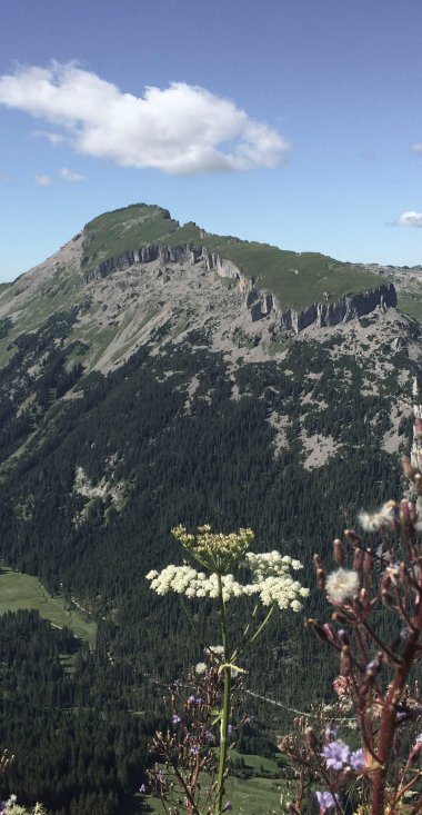Stunning mountain landscape with green slopes, view of the Ifen in summer, with a blue sky and clouds. | © Kleinwalsertal Tourismus eGen