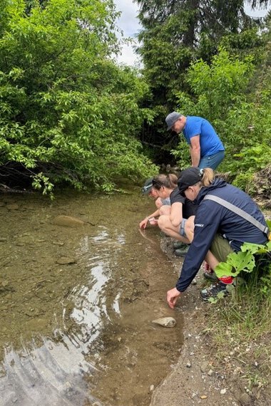 Vier Menschen am Ufer eines Baches, sie bücken sich, um Wasserproben zu nehmen oder Steine zu untersuchen, umgeben von grünen Bäumen. | © Kleinwalsertal Tourismus eGen