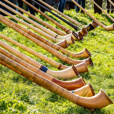 Mehrere Alphörner liegen auf einer Wiese, bereit für den Einsatz beim Alphornfestival 2024. | © Kleinwalsertal Tourismus eGen • Fotograf: Frank Drechsel