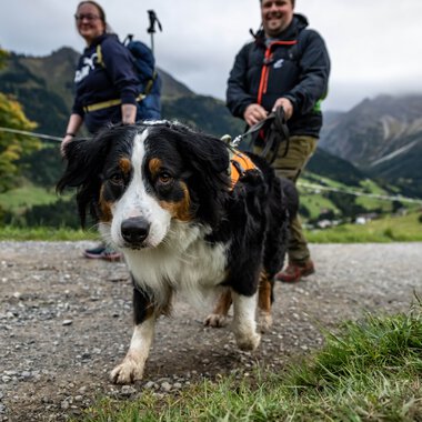 © Kleinwalsertal Tourismus eGen • Fotograf: Dominik Berchtold